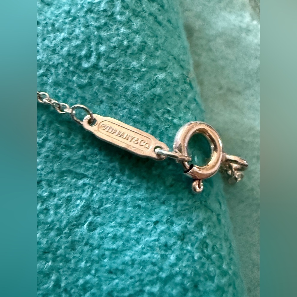 Auth Tiffany and Co. Limited Edition 2019 "Go Women" Pendant Necklace Silver 925 - Picture 2 of 5